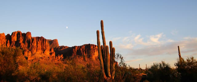 Saguaro cactus at golden hour against red rock cliffs with a full moon rising over the Arizona desert